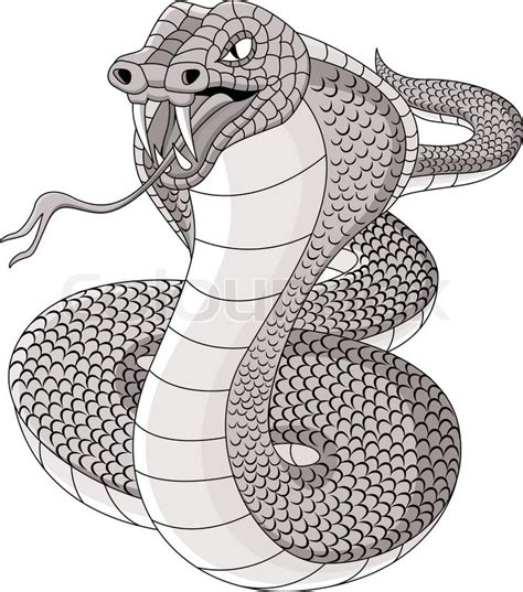 Vector Illustration Of Cobra Tattoo Stock Vector Colourbox