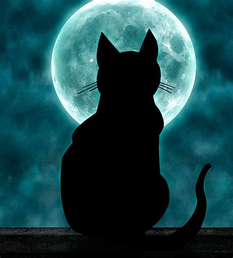 Cat Moon Cat With Moon By Kuvaajankulma On Deviantart Black Cat Art