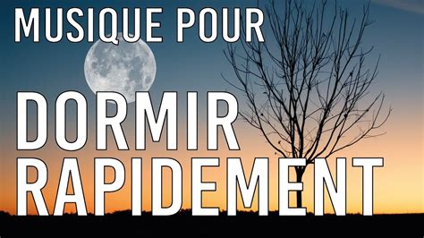 😴MUSIQUE POUR DORMIR FACILEMENT😴(MUSIC FOR SLEEPING)😴 - YouTube