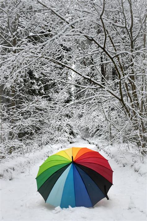 Colorful Umbrella In The Snowy Forest Beautiful Winter Scene Stock