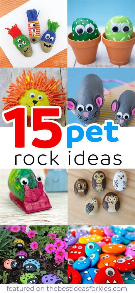 15 Ideias Do Fun Pet Rock Steve Waltons