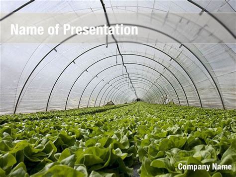 Green House Powerpoint Templates Green House Powerpoint Backgrounds