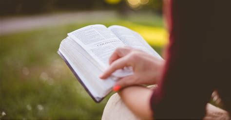 From high sea adventures to elizabethan romances, these classics deliver. 10 Best Bible Reading Plans for 2021 - Start Reading the ...