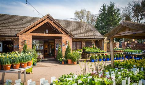 Tarporley Gardening | Fasci Garden