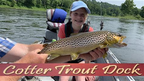 Arkansas White River Trout Fishing Report June 5 2019 Youtube