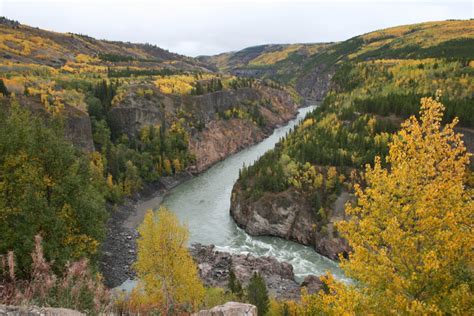 Fall Colours Along The Stikine River Telegraph Creek Road