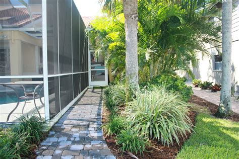 Landscape Tropical Landscape Tampa By Design Scapes Houzz