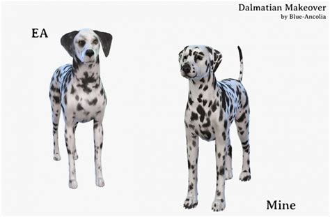 Dalmatian Makeover At Blue Ancolia Sims 4 Updates