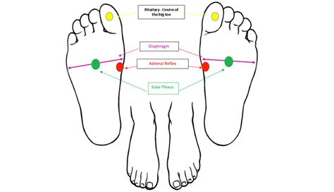 How To Relieve Stress And Anxiety With Foot Reflexology Healthista