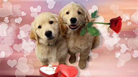 Puppy Valentine Wallpaper 56 Images