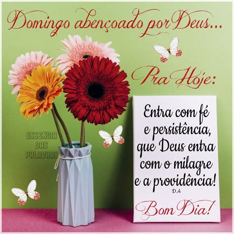 Mensagens De Bom Dia Domingo Para Facebook E Whatsapp Mensagens Feliz