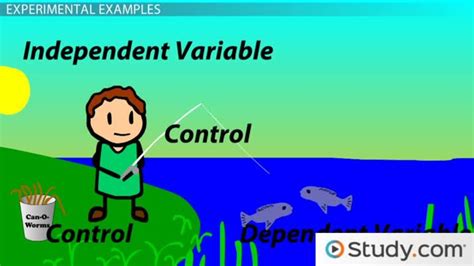 Independent And Dependent Variables Definition And Examples Lesson