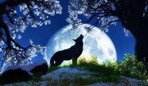 Find cool wolf wallpapers hd for desktop computer. Cool Wolf Backgrounds - Wallpaper Cave