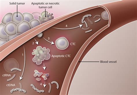 New liquid biopsy techniques at the bleeding edge of cancer