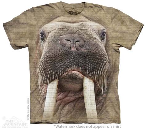 Maybe you would like to learn more about one of these? Big Face Walrus T-Shirt | Animal tshirt, Weird shirts ...