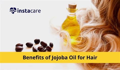 10 Amazing Benefits Of Jojoba Oil For Hair
