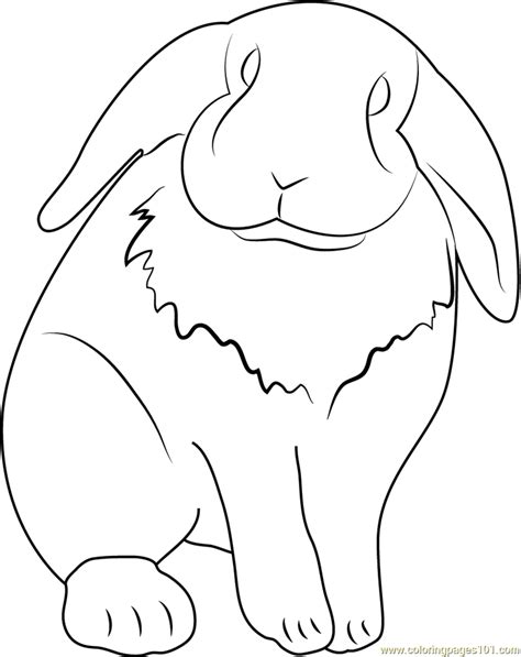 Coloring pages » rabbit coloring pages. Lop Eared Pet Rabbit Coloring Page for Kids - Free Rabbit ...
