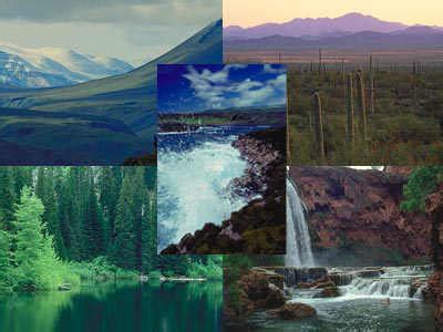 Tundra Biome Project: Biome Definition