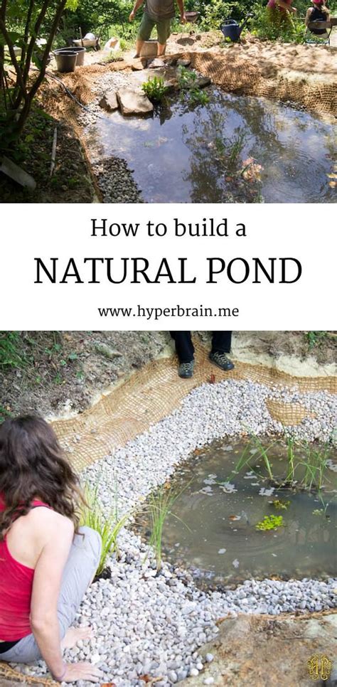 A backyard pond can transform your ordinary backyard into a lush oasis, and it may not be too difficult to make. 21 DIY Water Pond Ideas | DIY Water Gardens For Backyards ...