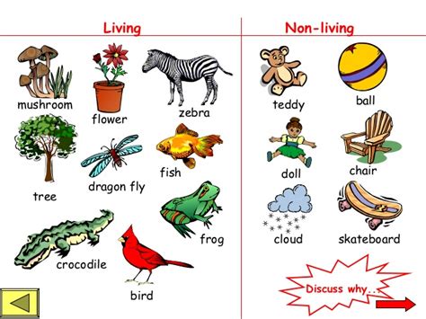 Living things clipart 1 » Clipart Station