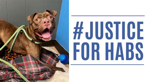 Justice For Habs Humane Society Of Macomb
