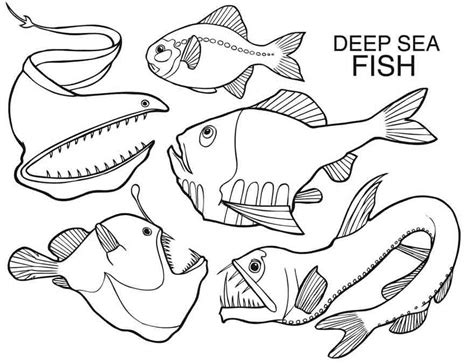 Black ctripe cardinal deep sea fish coloring page. Angler Fish Coloring Page - GetColoringPages.com