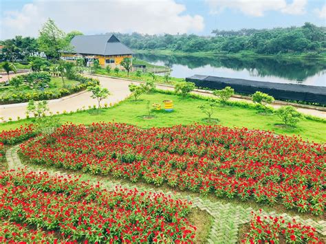 Vườn Sinh Thái Phúc Thọ Hoa Bay Home Facebook