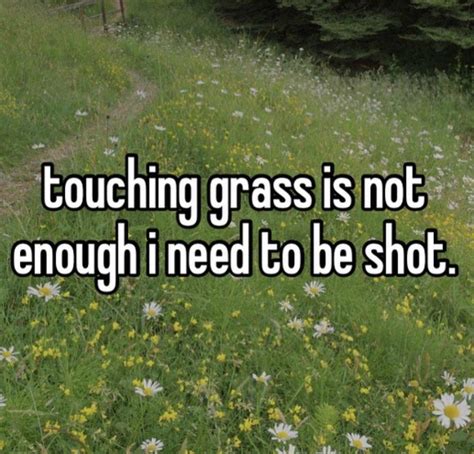 Touching Grass Is Not Enough I Need To Be Shot Touching Grass Is Not