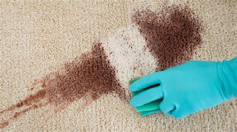 Fresh carpet stains from food, beverages, pets, grease, and other substances will usually come up warm water and a small amount of liquid dish detergent. How To Remove Any Carpet Stain! | Carpet Now