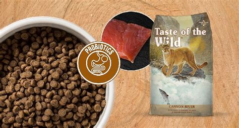 Wet cat food has higher moisture content than dry cat food, which can make it beneficial for cats who require more support for their urinary tract or kidneys. Taste of the Wild Cat Food Reviews (2020)