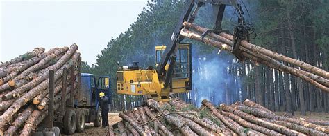 Exploring Georgia's Abundant Natural Resources