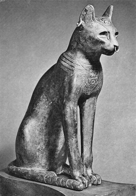 statue of bastet gayer anderson cat from saqqara late period 664 332 bc british museumea 64391