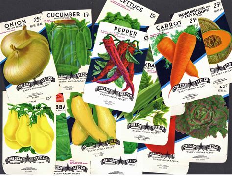 A Collection Of 15 Vintage Vegetable Seed Packets Thelabelman