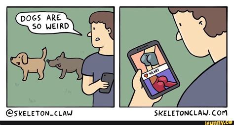 Why Are Dogs So Weird