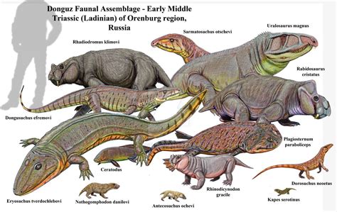 Donguz Middle Triassic Fauna By Dibgd Prehistoric Animals
