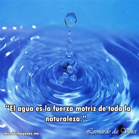 El día mundial del agua se celebra desde 1993 cuando la conferencia de las naciones unidas sobre medio ambiente y desarrollo eligió la fecha del 22 de marzo para que el mundo tome conciencia sobre la importancia del agua y a cuidar esta como recurso. Hermosas Imagenes Por El Dia Mundial Del Agua - Mundo ...