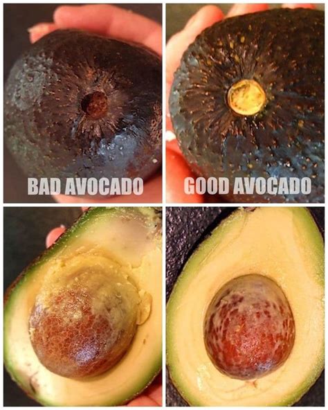 Avocado Hacks Avocado Recipes Fruit And Veg Fruits And Veggies Fruit Water Vegetables