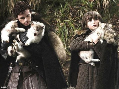 Game Of Thrones Dog Who Played Brans Direwolf Summer On Hbo Hits