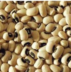 Check spelling or type a new query. namakucella: SAMBAL KACANG TUNGGAK DENGAN HATI DAN LIMPA