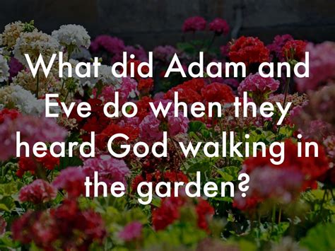 Adam And Eve Lesson 3 By Valerie Marcum