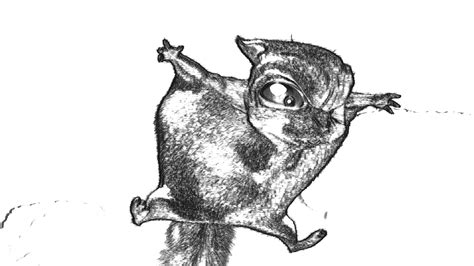 See more ideas about bugs bunny drawing, bunny drawing, cartoon drawings. Domain Transform for Edge-Aware Image and Video Processing