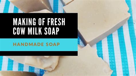 How To Make Cow Milk Soap With Fresh Cow Milk Youtube