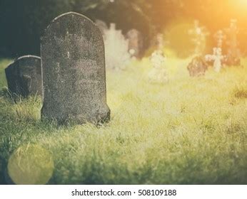 Flower of srebrenica is used as a symbol of remembrance of the victims of the srebrenica genocide. Tombstone Images, Stock Photos & Vectors | Shutterstock