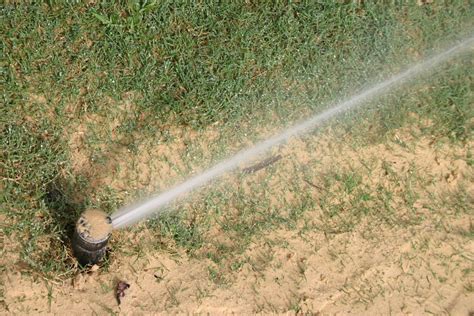 Top dressing lawn with sand. Top Dressing With Sand - Should I Put Sand On My Lawn