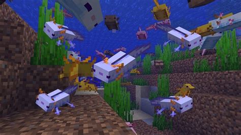 How To Spawn A Blue Axolotl In Minecraft Wtbblue