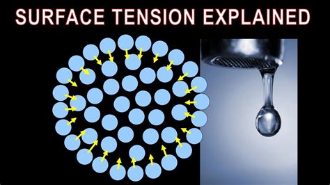 Surface Tension What Is It How Does It Form What Properties Does It