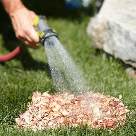 Use a sprinkler and water for several hours every evening, depending on your climate, time of seeding, type of your lawn will require about 1 inch of water per week, and depending on your soil, it can be applied in 1 day, 2 days, or 3 days. Spot-Watering Tip For Grass Seed | Grass seed, Garden mulch, Grass