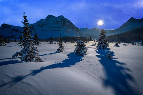 Winter Trees Shadows Mountains Sunset Alberta Canada Print Photos By