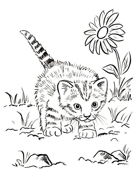 Easy kitten cat coloring pages. Cat coloring book, Kittens coloring, Puppy coloring pages