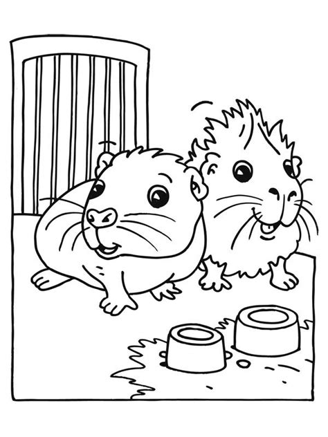 Cute Baby Guinea Pig Coloring Page: Cute Baby Guinea Pig Coloring Page